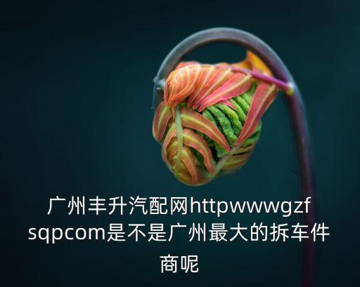 广州丰升汽配网httpwwwgzfsqpcom是不是广州最大的拆车件商呢