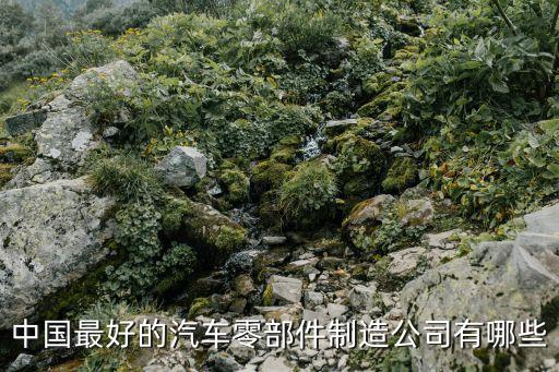 中国最好的汽车零部件制造公司有哪些