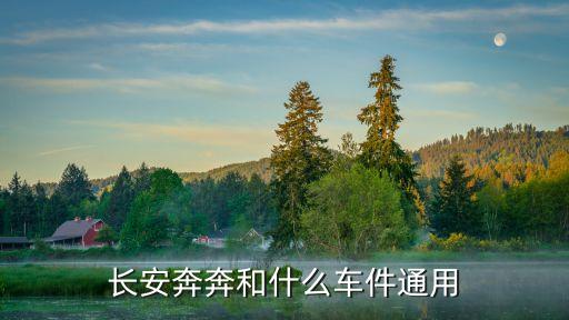 长安奔奔和什么车件通用