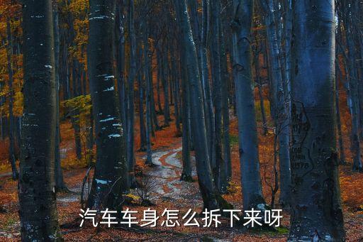 汽车车身怎么拆下来呀