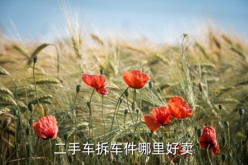 二手车拆车件哪里好卖