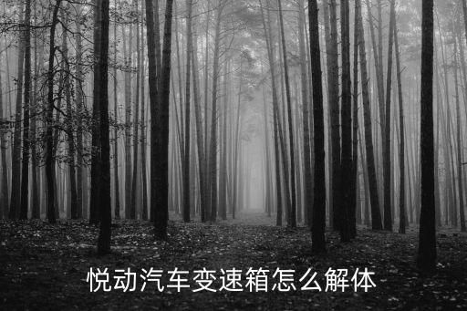 悦动汽车变速箱怎么解体