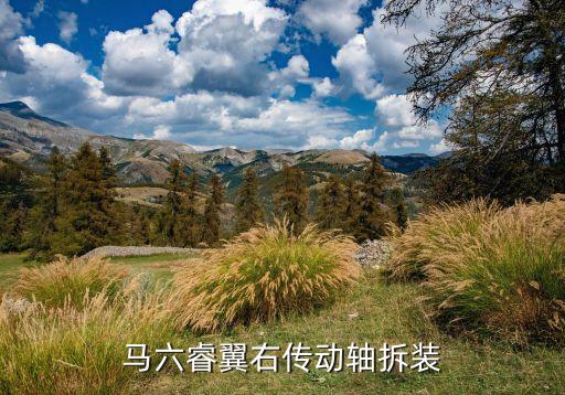 马六睿翼右传动轴拆装