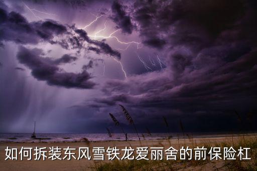 如何拆装东风雪铁龙爱丽舍的前保险杠