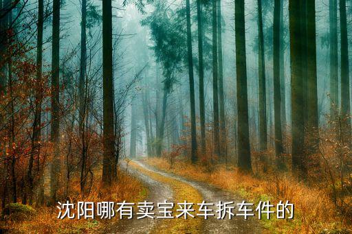 沈阳哪有卖宝来车拆车件的