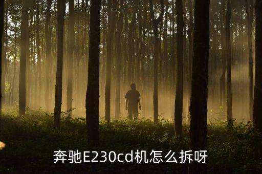奔驰e音响拆车件，奔驰E230cd机怎么拆呀