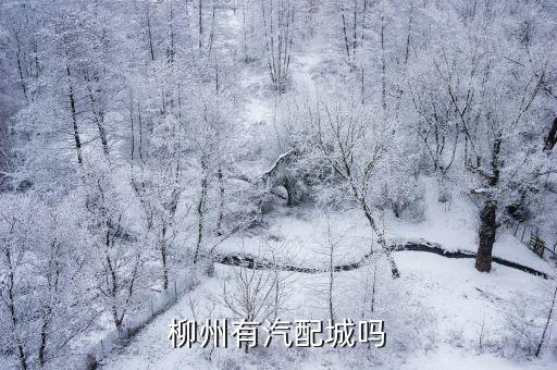 柳州有汽配城吗