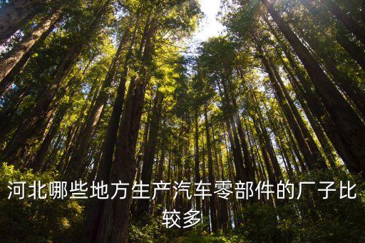 河北哪些地方生产汽车零部件的厂子比较多