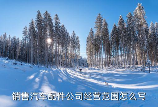 销售汽车配件公司经营范围怎么写