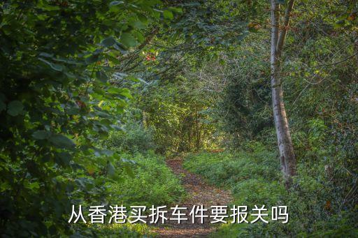 从香港买拆车件要报关吗