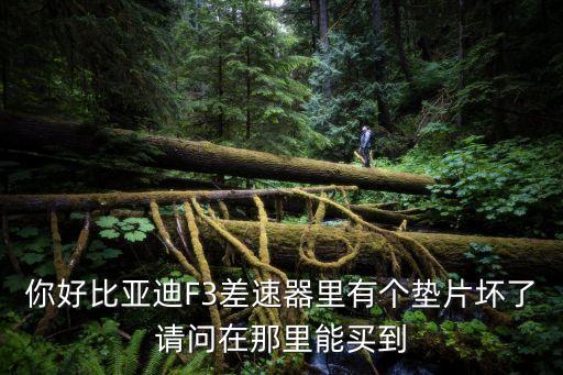 你好比亚迪F3差速器里有个垫片坏了请问在那里能买到