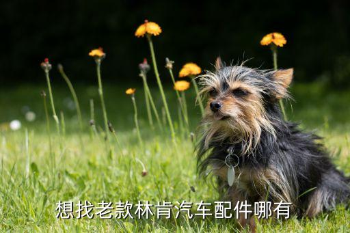 想找老款林肯汽车配件哪有