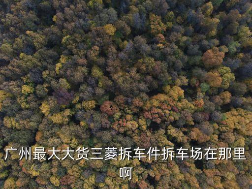广州最大大货三菱拆车件拆车场在那里啊