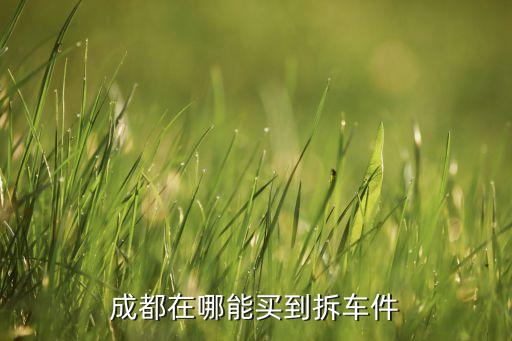 成都在哪能买到拆车件