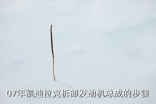 07年凯迪拉克拆卸发动机总成的步骤