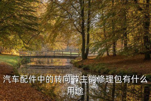 汽车配件中的转向节主销修理包有什么用途