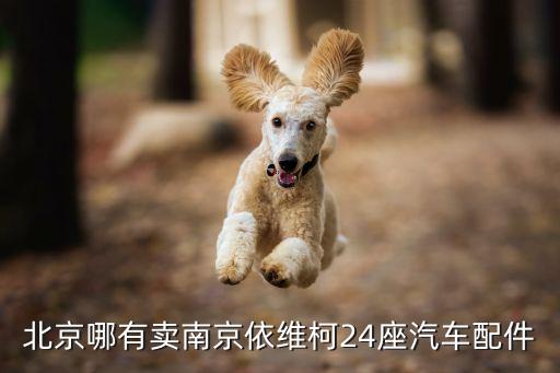 北京哪有卖南京依维柯24座汽车配件