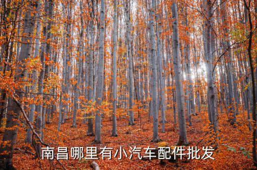 南昌哪里有小汽车配件批发