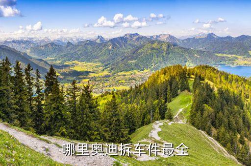 石家庄奥迪拆车件，01奥迪A418t拆车件哪有
