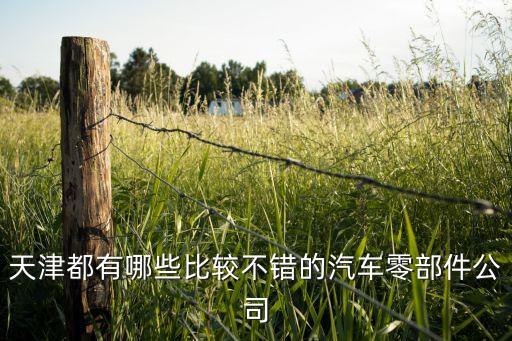 天津都有哪些比较不错的汽车零部件公司