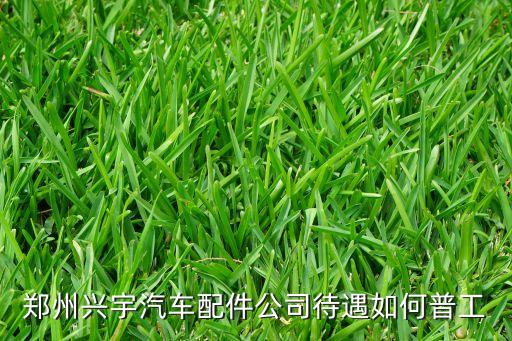 郑州兴宇汽车配件公司待遇如何普工