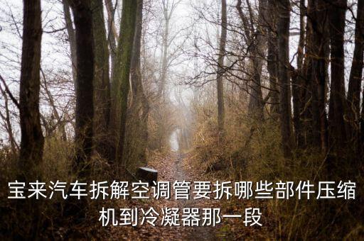 宝来汽车拆解空调管要拆哪些部件压缩机到冷凝器那一段