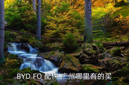 比亚迪汽车配件，BYD FO 配件 广州哪里有的买