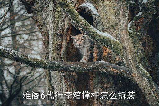 6代雅阁拆车件，广州雅阁自动变速器拆车件