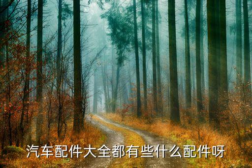 汽车配件大全都有些什么配件呀
