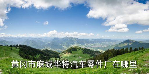 黄冈市麻城华特汽车零件厂在哪里