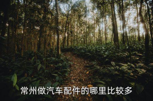 常州做汽车配件的哪里比较多