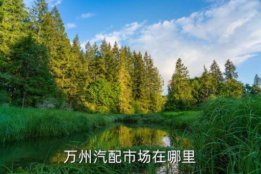 万州汽车配件，一汽威乐在重庆万州哪里可以买配件