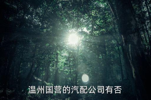 温州国营的汽配公司有否