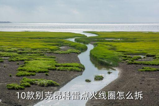 10款别克昂科雷点火线圏怎么拆