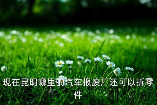 昆明奔驰拆车件，请问哪里能买到s320奔驰车的拆车件