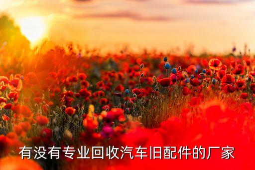 有没有专业回收汽车旧配件的厂家