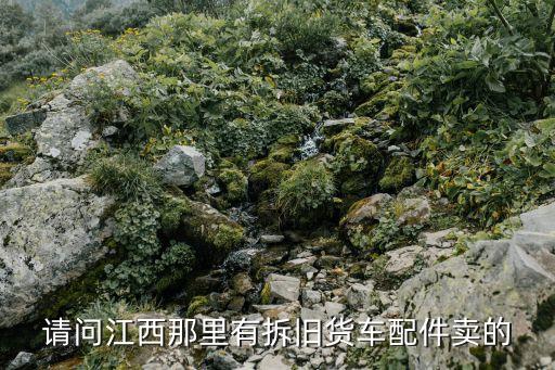 请问江西那里有拆旧货车配件卖的