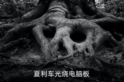 夏利车光烧电脑板