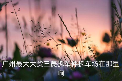 三凌越野车壳拆车件，广汽三菱越野车的发动机电脑板在什么地方