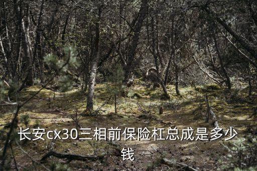 长安cx30汽车配件，请问那个哥们知道长安汽车就是长安cx30的皮带和皮带轮哪里