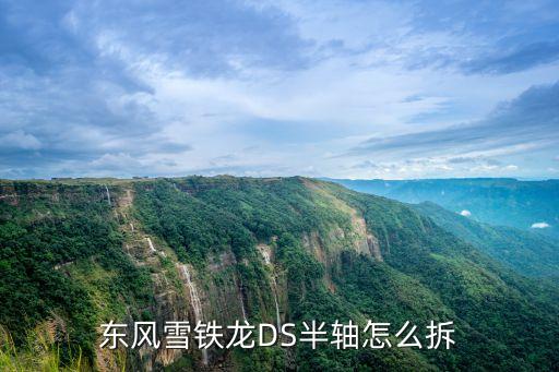 标致雪铁龙ds拆车件大全配件，东风雪铁龙配件价格