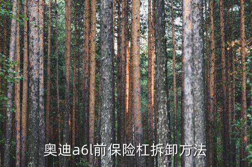 北京奥迪a6l拆车件，奥迪A6L车门里板怎样拆解
