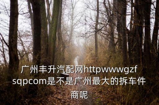 广州丰升汽配网httpwwwgzfsqpcom是不是广州最大的拆车件商呢