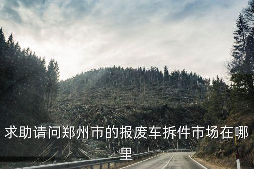 郑州事故车拆件，求助请问郑州市的报废车拆件市场在哪里