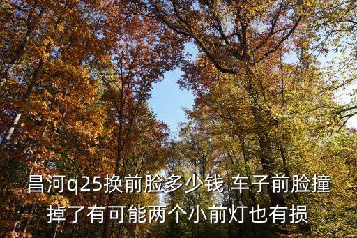 昌河q25换前脸多少钱 车子前脸撞掉了有可能两个小前灯也有损