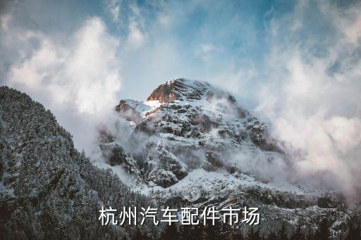 杭州汽车配件市场