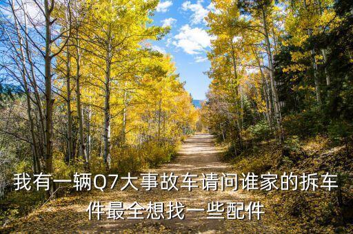 哪里有卖奥迪q7拆车件，我有一辆Q7大事故车请问谁家的拆车件最全想找一些配件