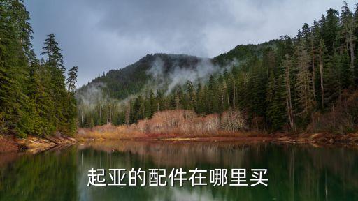 起亚的配件在哪里买