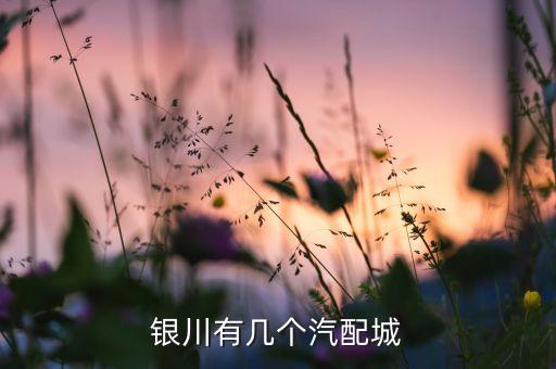 银川有几个汽配城