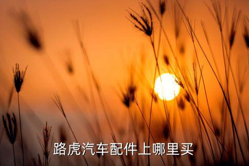 路虎汽车配件上哪里买